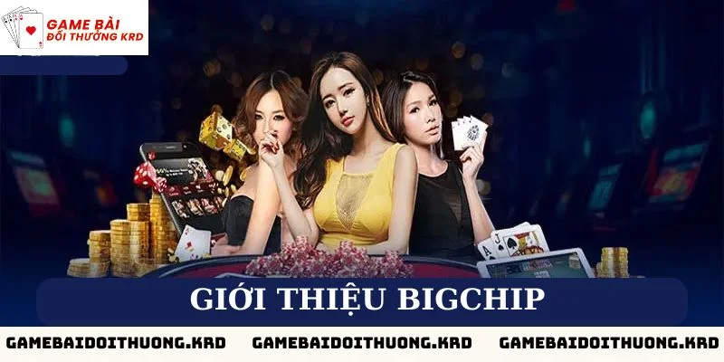 Giới thiệu tổng quan về Bigchip